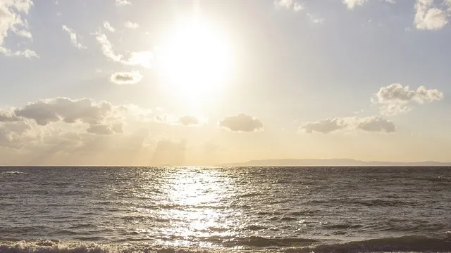 sole