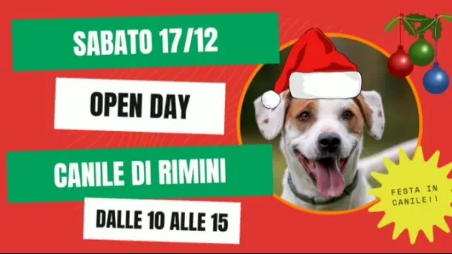 open day canile