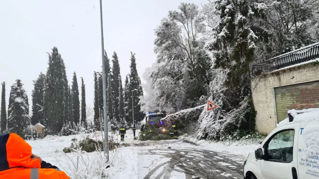 neve