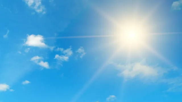 sole
