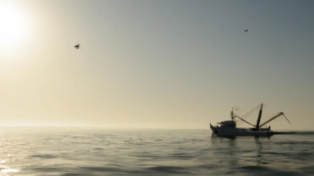 Blue Economy