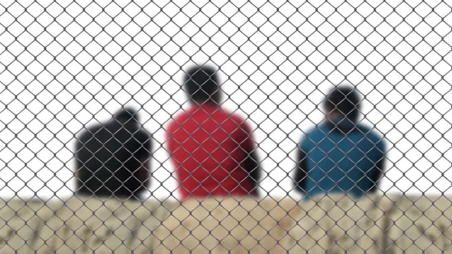 migranti