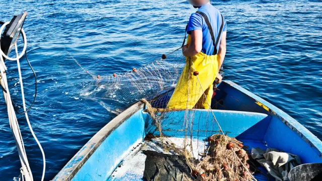 pesca ittica