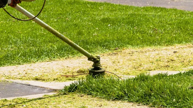 manutenzione verde pubblico