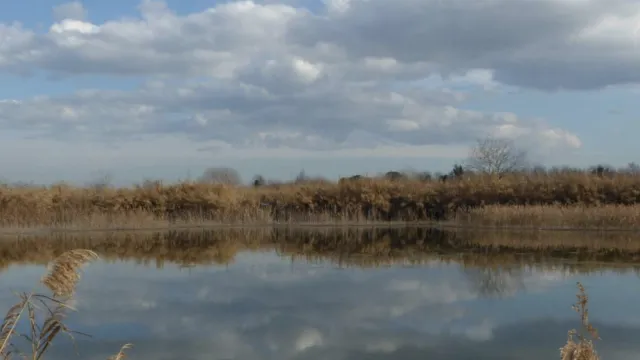 fiume