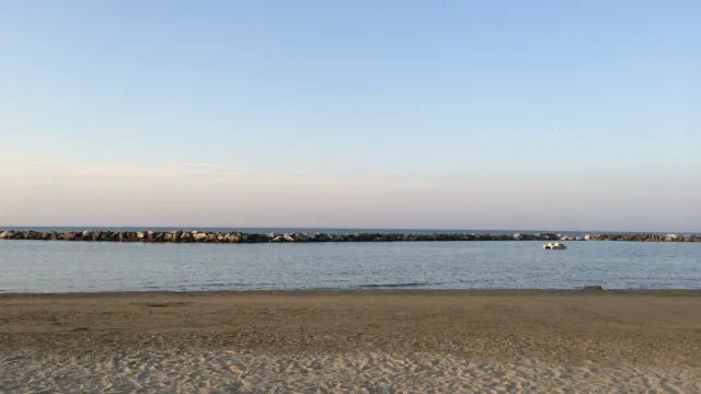mare