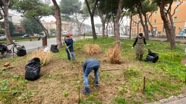 verde pubblico