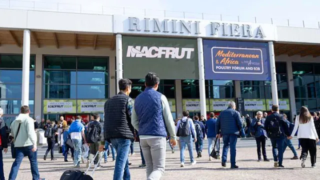 fiera macfruit