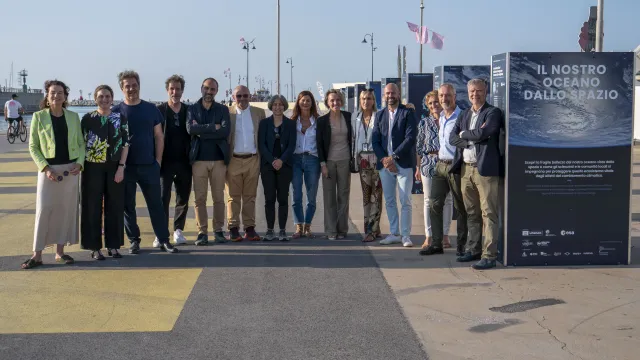 advisory board rimini blue lab