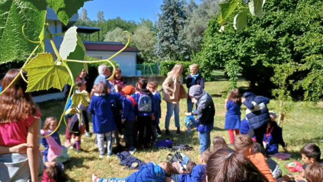 civivo scuola A Bertola, cartelli identificativi sugli alberi da frutto