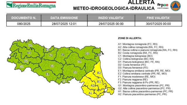 allerta29luglio