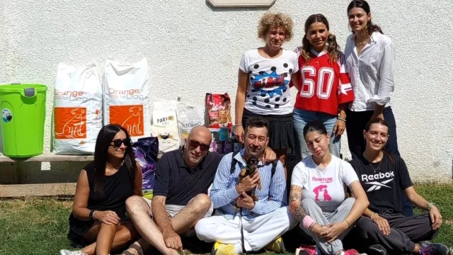 festa per switch