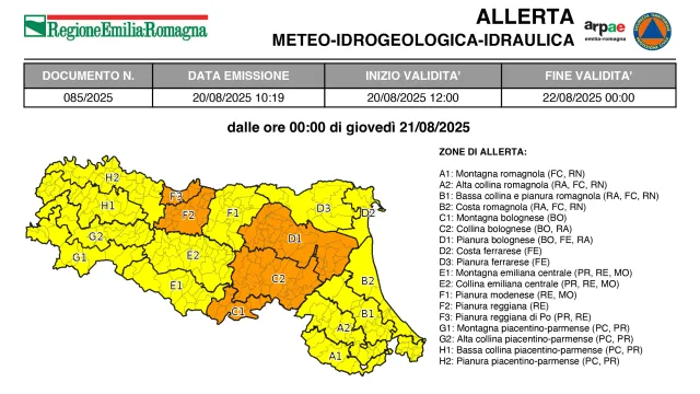 allerta n. 85/2025