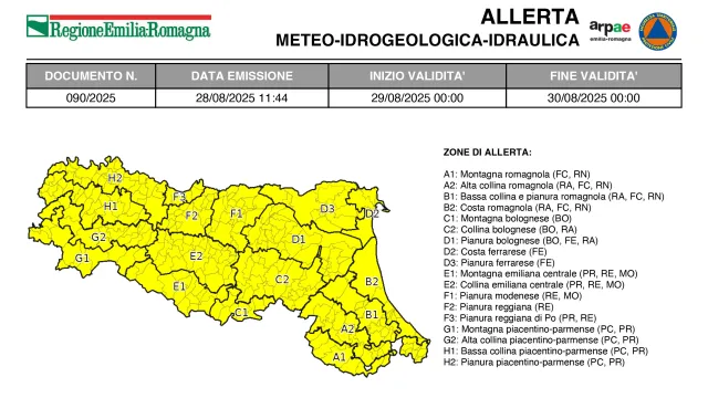 allerta 90/2025