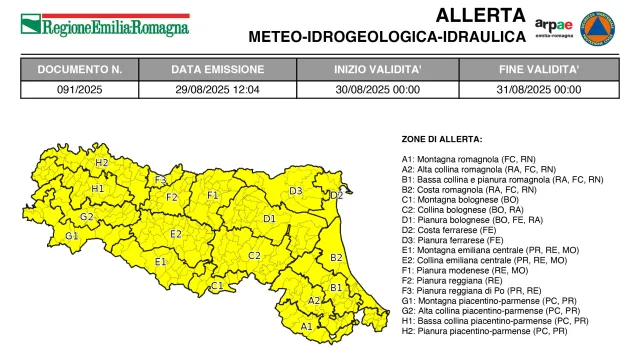 allerta 91/2025