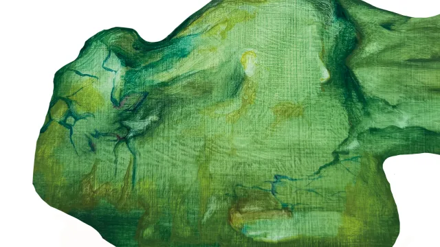 Il passero bianco di Sara Fiorini