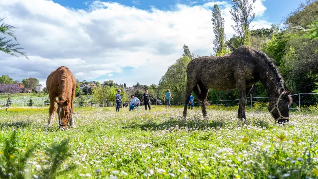 Centro per la sostenibilità Ippogrifo