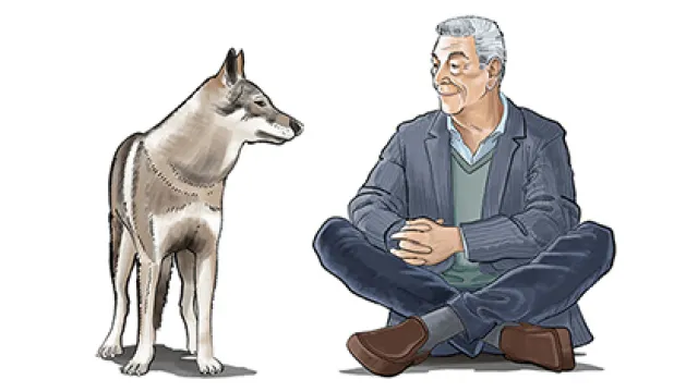 locandina Come ti muovi sbagli