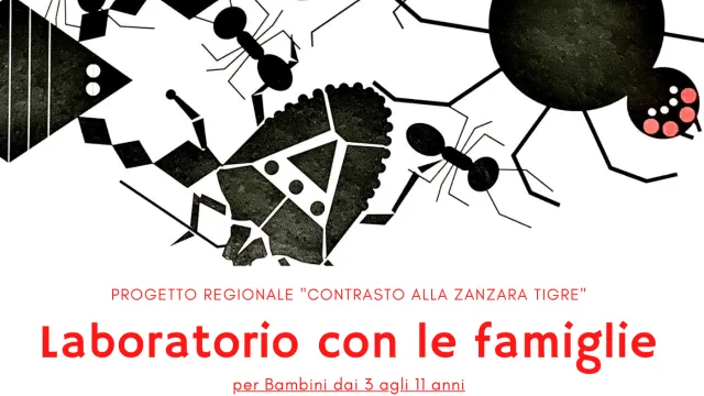 progetto Contrasto alla zanzara tigre