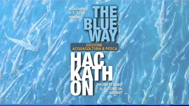 The Blue Way Hackathon” Rimini.png