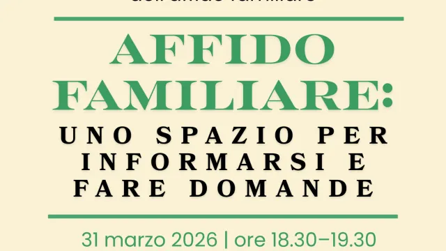 webinar affido marzo 2026 