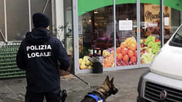 unità cinofila mercato coperto