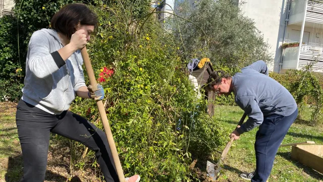 il labirinto fiorito -  Giardiniere civiche 
