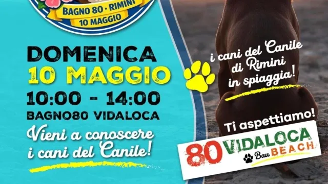 locandina onde di adozione
