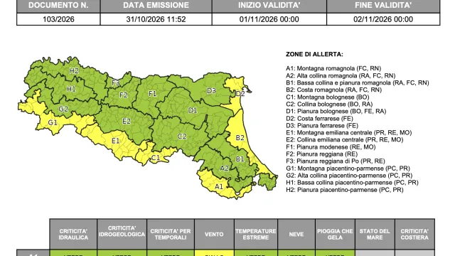 allerta 103/2026