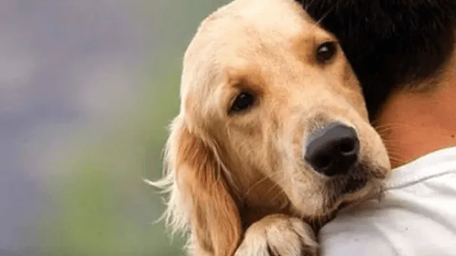 cane_0.png