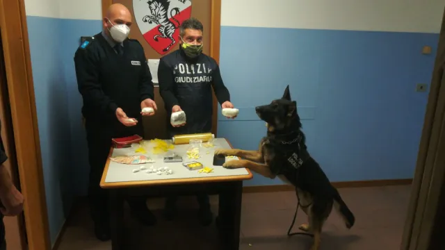 gli_agenti_della_squadra_giudiziaria_della_polizia_locale_di_rimini_con_jago_e_la_droga_sequestrata__0.jpeg