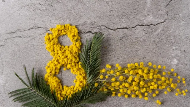 lavoretti-festa-della-donna-decoupage-mimosa.jpg
