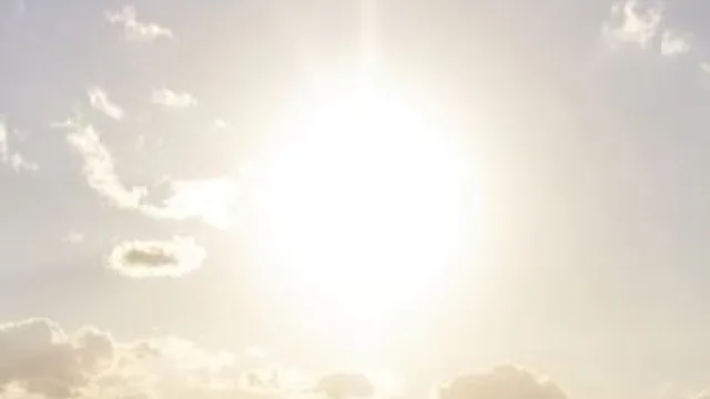 sole1.jpg