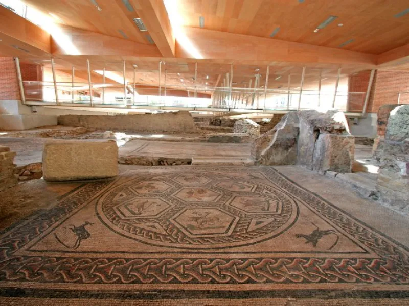 La domus del chirurgo