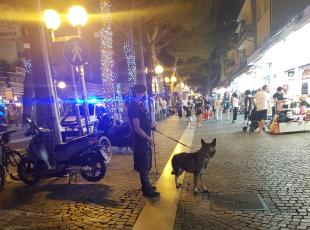 polizia locale - controlli serali