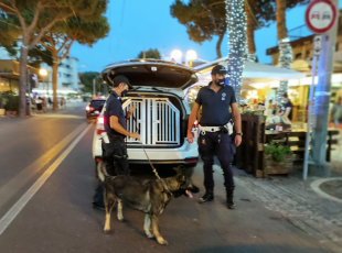 Pattuglione Polizia Locale con le unità cinofile