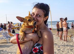 cani in spiaggia