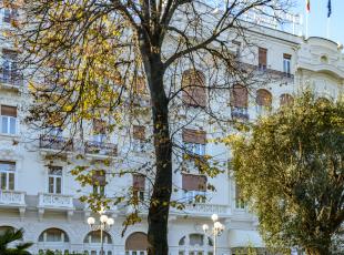 Rinocerontessa nel giardino del Grand Hotel