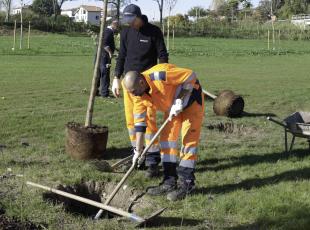 Festa dell'Albero presso l'area archeologica del ponte di San Vito