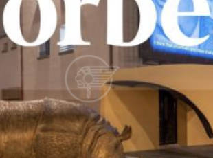 Articolo della rivista Forbes su Rimini