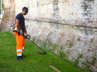  Manutenzione e cura delle aree verdi