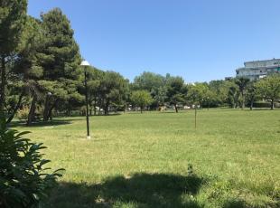 PARCO BRIOLINI 