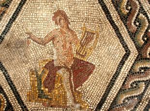 Domus del Chirurgo - mosaici