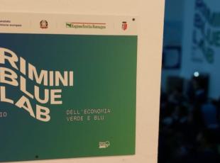 Logo Rimini Blue Lab