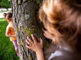 bambini che si nascondono dietro un albero