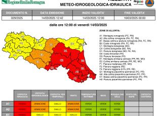 allerta n. 29/2025 -1