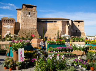 Giardini d'autore