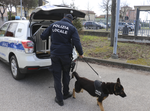 Unità Cinofila Polizia Locale