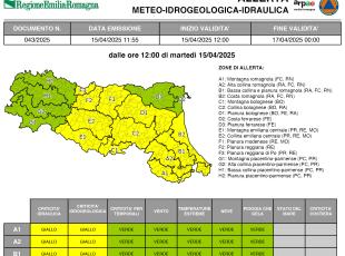 allerta n. 43-1/2025