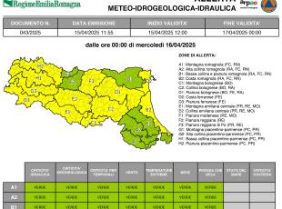 allerta n. 43-2/2025